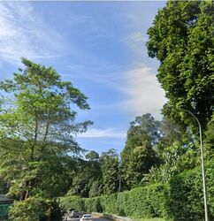 Nassim Road (D10), Detached #464671931